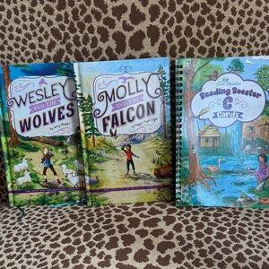 Brand New The Good and The Beautiful Booster Cards and Books for Level 2